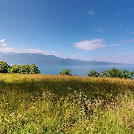 Breathtaking View - In The Heart Of Lavaux Puidoux