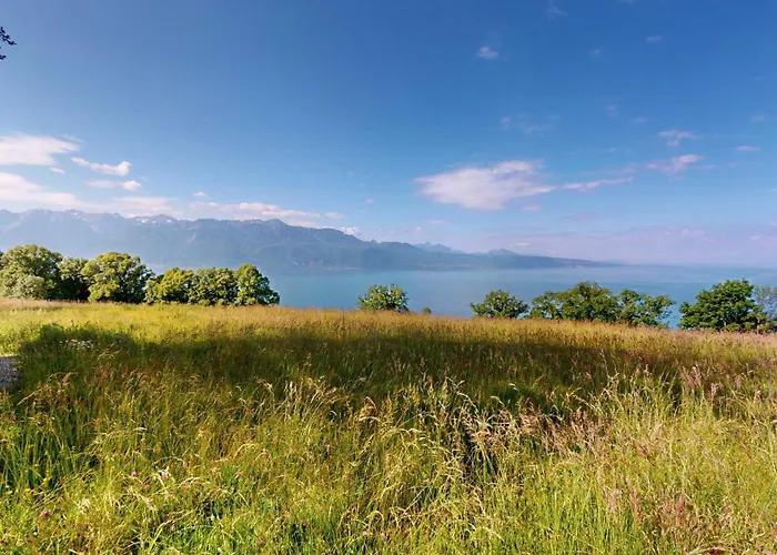 Breathtaking View - In The Heart Of Lavaux Puidoux